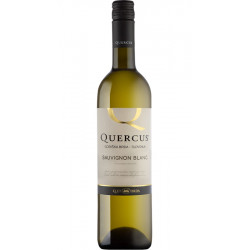 Quercus Sauvignon Blanc Goriška Brda