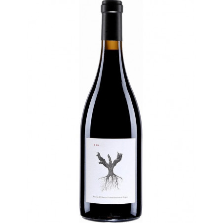 PSI Dominio De Pingus Ribera del Duero
