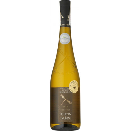 Muscadet Sevre et Maine Haute Resolution