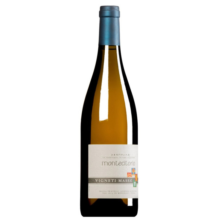 Vigneti Massa Montecitorio Timorasso Vigneti Massa Montecitorio Timorasso