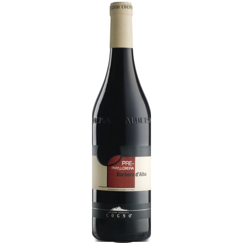 Elvio Cogno Barbera d’Alba Pre- Philloxera