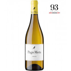 Bodegas Arzuaga Navarro Pago Mota Chardonnay