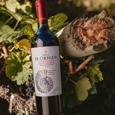 Finca El Origen Cabernet Sauvignon Mendoza