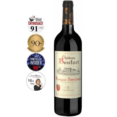 Chateau Bonfort Montagne Saint Emilion