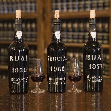 BLANDY’S TERRANTEZ Madeira 1976