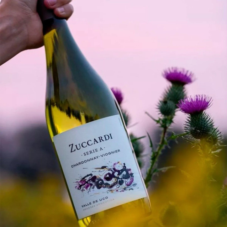 Zuccardi Chardonnay Mendoza Zuccardi Chardonnay Mendoza
