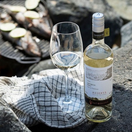 Ventisquero Sauvignon Blanc Reserva Casablanca Valley