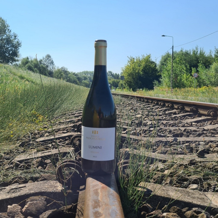 Wino Lumini Płochockich Wino Lumini Płochockich