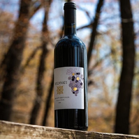 Recanati Cabernet Sauvignon Reserve Galilee