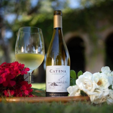 Catena Chardonnay Mendoza