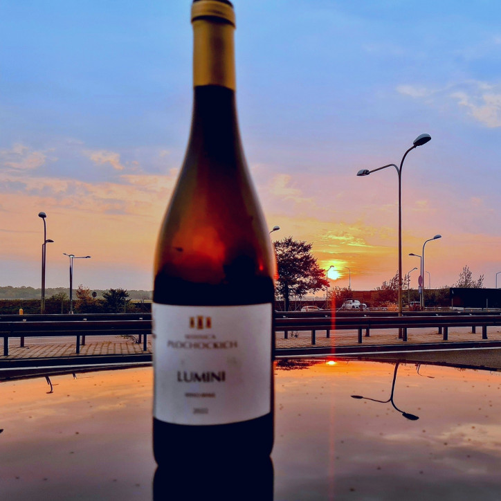 Wino Lumini Płochockich Wino Lumini Płochockich