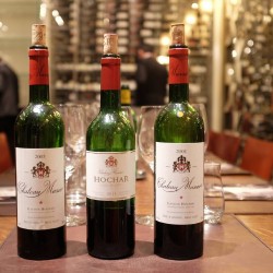 HOCHAR PERE ET FILS Chateau Musar