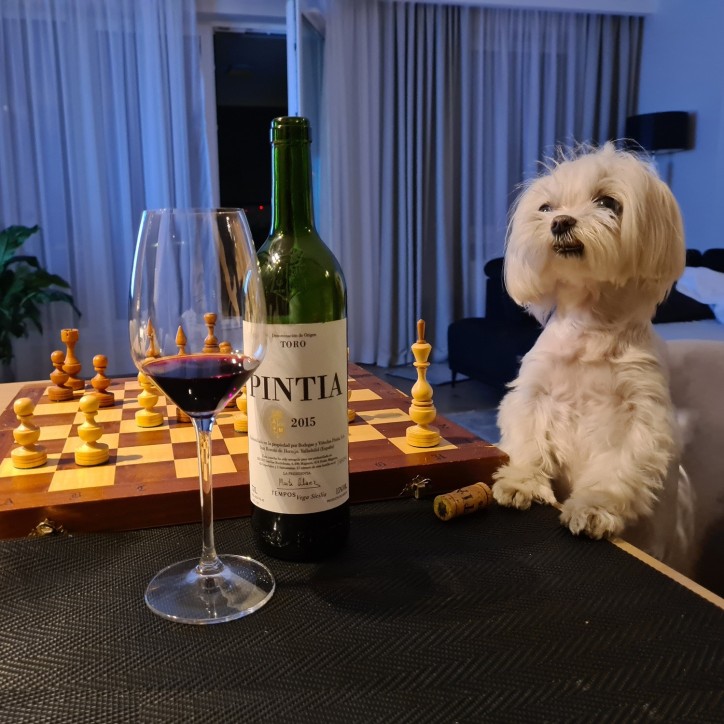 Pintia Toro Red Wine Vega Sicilia Pintia Toro Red Wine Vega Sicilia