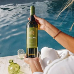 Amalaya Blanco De Corte Torrontes Riesling