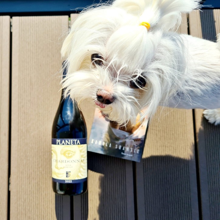 Planeta Chardonnay Sycylia Menfi Planeta Chardonnay Sycylia Menfi