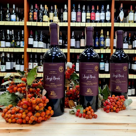 Luigi Bosca Malbec Single Vineyard Mendoza