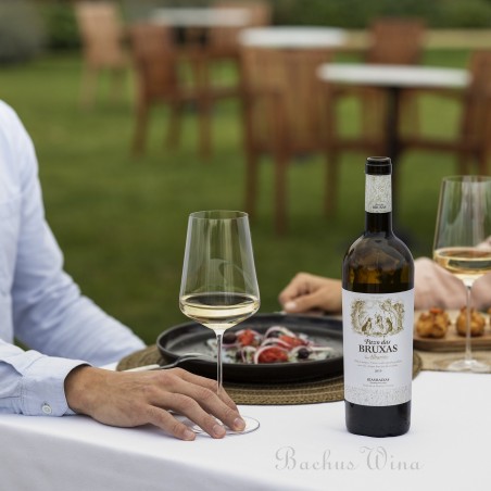 Pazo das Bruxas Albarino Rias Baixas