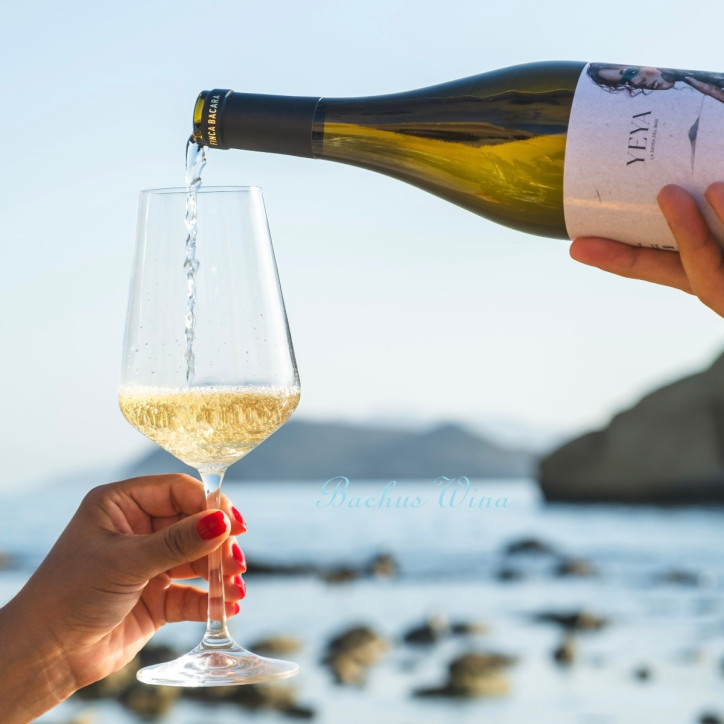 Yeya Moscatel Chardonnay Jumilla Yeya Moscatel Chardonnay Jumilla
