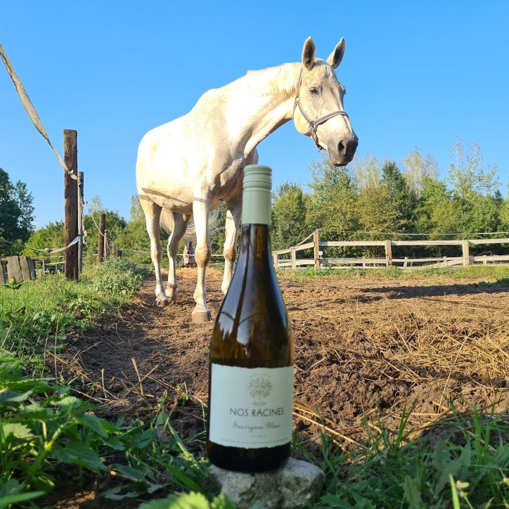 Nos Racines Sauvignon Blanc