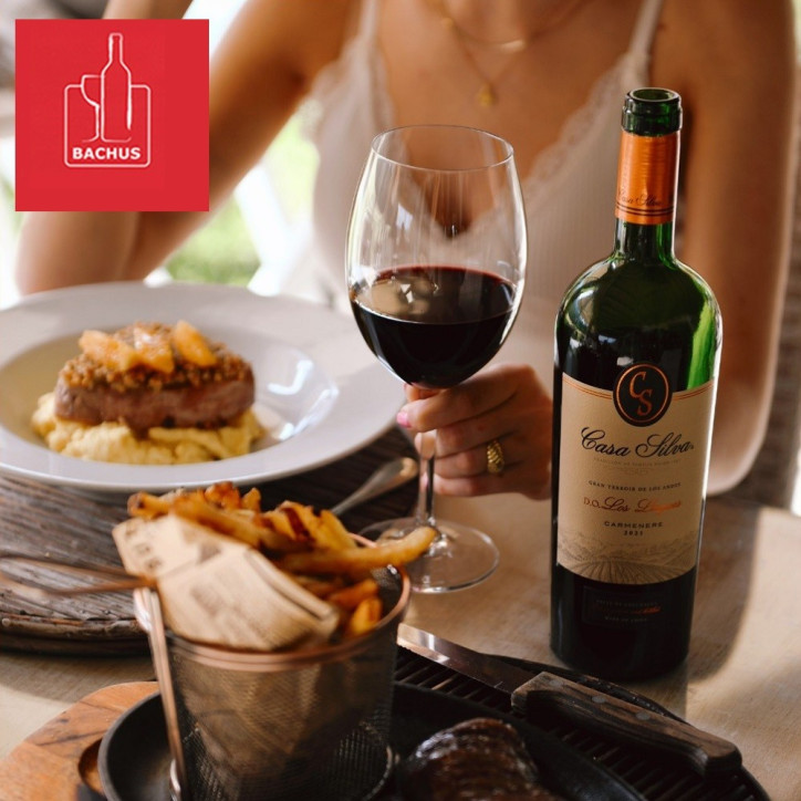 Casa Silva Gran Terroir Los Lingues Carmenere Casa Silva Gran Terroir Los Lingues Carmenere