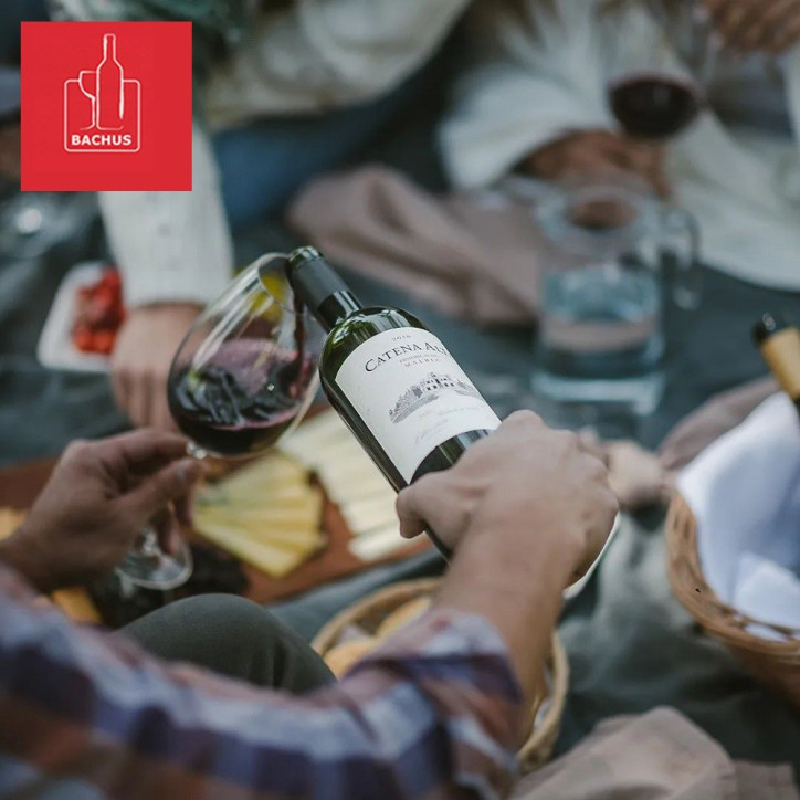 Catena Alta Malbec Bodega Catena Zapata Catena Alta Malbec Bodega Catena Zapata