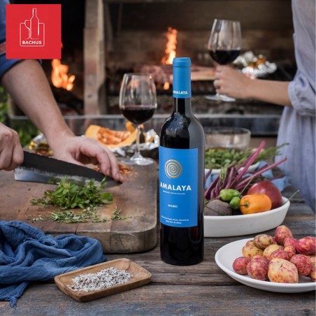 Amalaya Tinto de Corte Malbec Tannat Syrah
