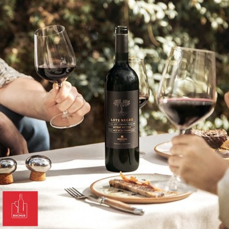 Bodega Norton Lote Negro
