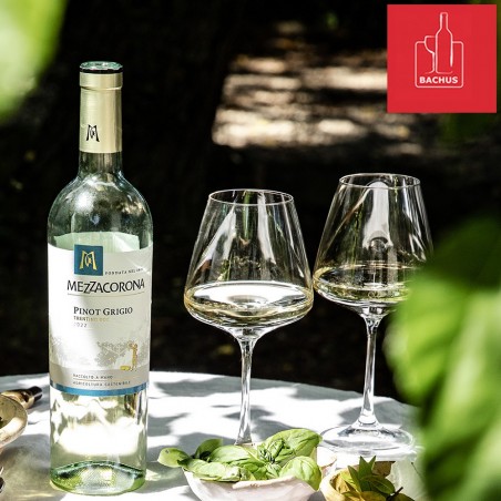 Mezzacorona Pinot Grigio Trentino DOCI Classici