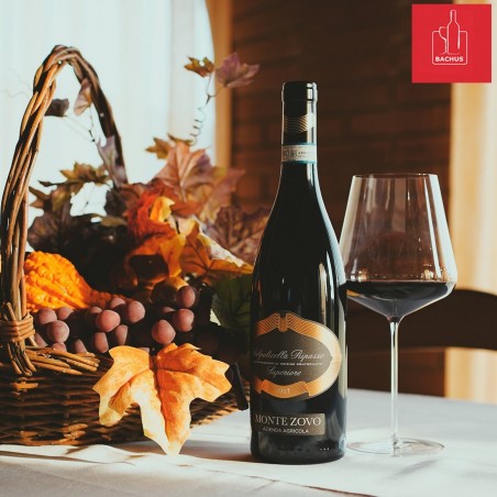 Monte Zovo Ripasso Valpolicella DOC