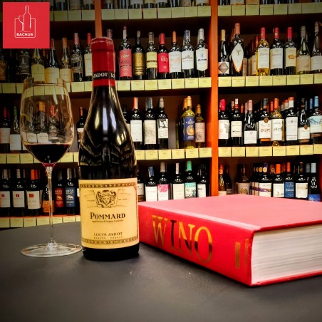 Pommard Louis Jadot