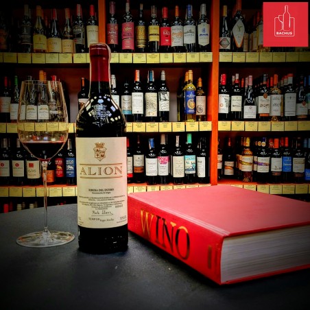 Alion Ribera del Duero Bodegas y Vinedos