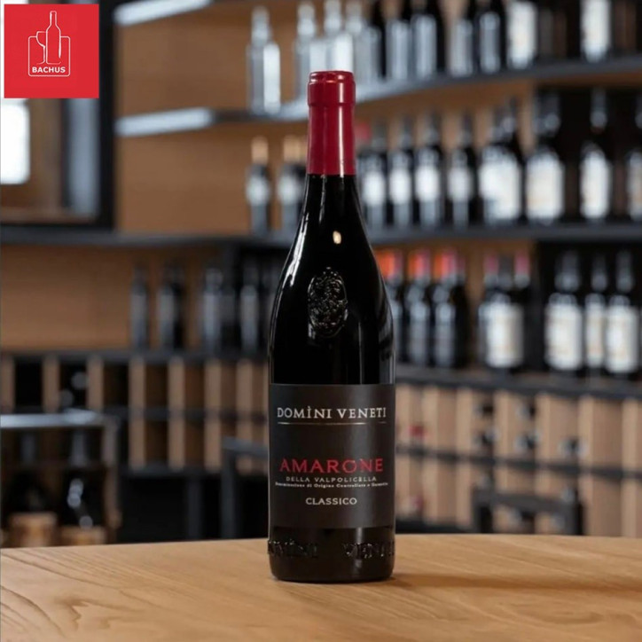 Amarone Della Valpolicella Classico Domini Veneti D.O.C. Amarone Della Valpolicella Classico Domini Veneti D.O.C.