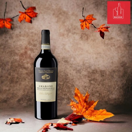 Selezione Antonio Castagnedi Tenuta Sant Antonio Amarone della Valpolicella  Verona