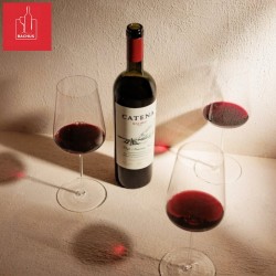 Catena Malbec Mendoza