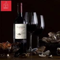 Catena Malbec Mendoza