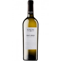 Villa Arfanta Pinot Grigio Vinicola Serena