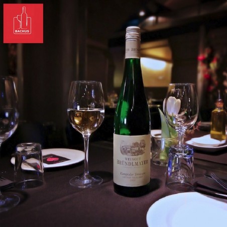 Brundlmayer Gruner Veltliner Kamptaler Terrassen