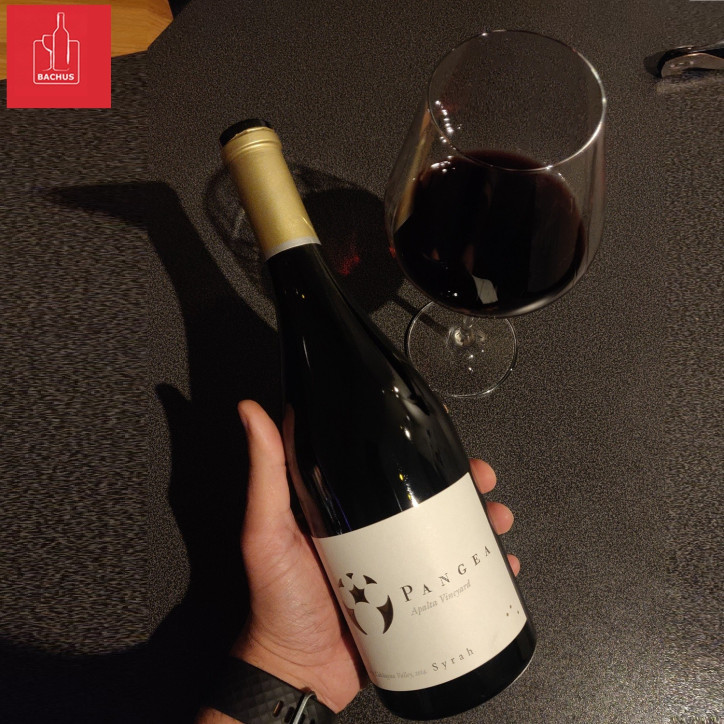 Pangea Syrah Colchagua Valley