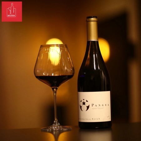 Pangea Syrah Colchagua Valley