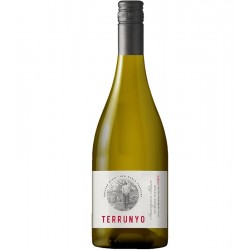 Terrunyo Sauvignon Blanc