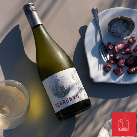 Terrunyo Sauvignon Blanc