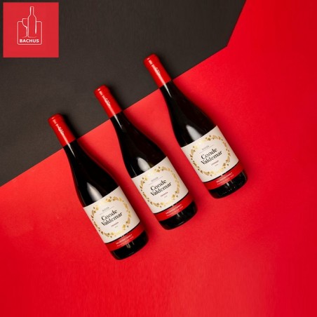 Conde de Valdemar Crianza Rioja