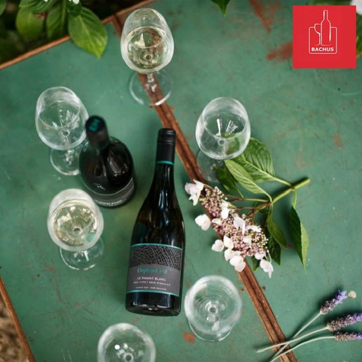 Elephant Hill Sauvignon Blanc
