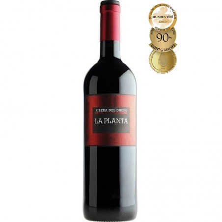Bodegas Arzuaga Navarro La Planta Ribera Del Duero DO
