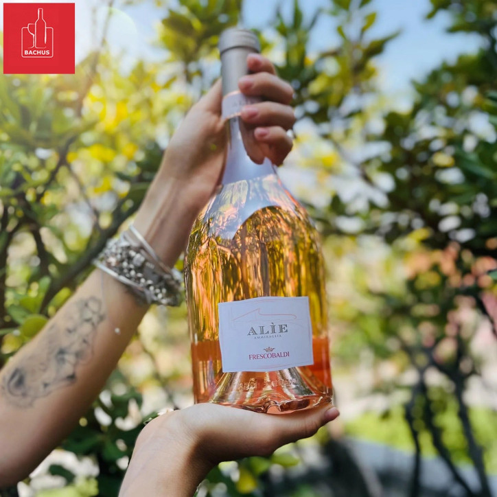 Alie Rose Frescobaldi Tenuta Ammiraglia Alie Rose Frescobaldi Tenuta Ammiraglia