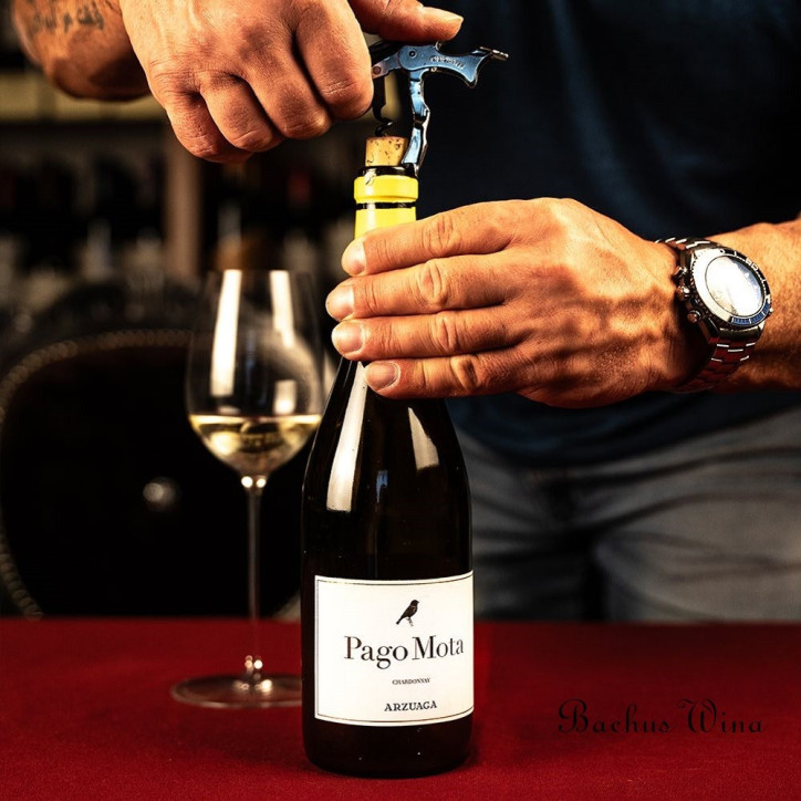 Bodegas Arzuaga Navarro Pago Mota Chardonnay