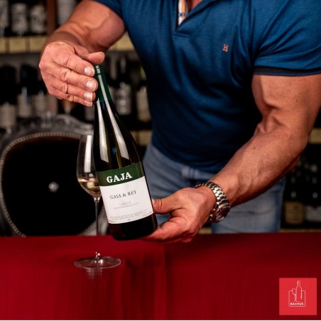 Gaja Gaia & Rey Langhe White Chardonnay
