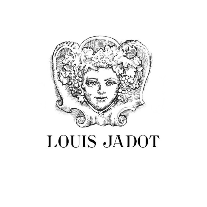 Louis Jadot Pinot Noir Bourgogne Couvent des Jacobins Louis Jadot Pinot Noir Bourgogne Couvent des Jacobins