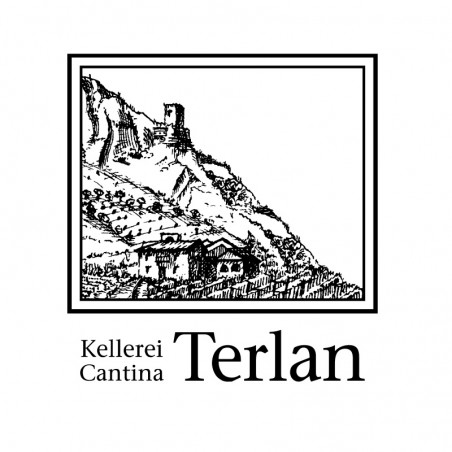Terlan Gewurztraminer Tradition Alto Adige