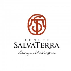 Antica Vigna Pinot Grigio Veneto
